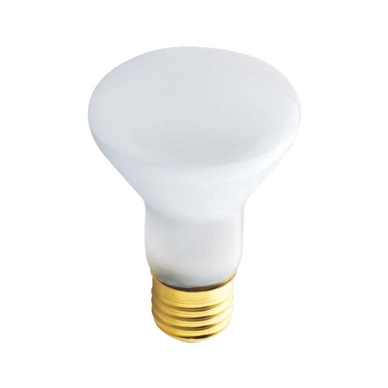 Westinghouse, Westinghouse 45 watt R20 Lampadina a incandescenza E26 (media) bianco tenue 2-Pack.