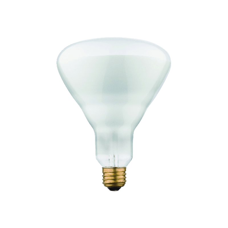 Westinghouse, Westinghouse 65 watt BR40 Lampadina a incandescenza E26 (media) bianco tenue